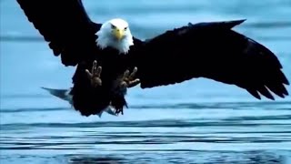 Thumbnail for What drinking a White Monster at 2AM feels like: | FunnyMemeSpot Backup