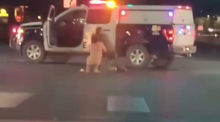 Thumbnail for Cop Gets Carjacked By Naked Guy