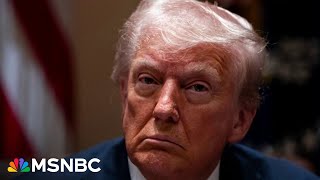 Thumbnail for ‘Inhumane political theater’: Ex-ICE official slams Trump for ‘collapsing’ US immigration processes | MSNBC