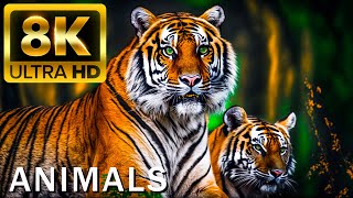 Thumbnail for TOP 50 BEAUTIFUL ANIMALS - 4K HDR 120fps Dolby Vision with Animal Sounds (Colorfully Dynamic) | 8K Scenic Relaxation