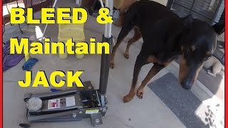 Thumbnail for How To Bleed & Maintain Hydraulic Floor Jack -Jonny DIY