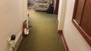 Thumbnail for Dog fakes injured leg but recovers when suggested cannot go for walk | Gerald Wakimoto
