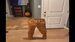 Thumbnail for look at this scoundrel | quagmire toilet gaming