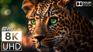 Thumbnail for TOP 10 • THE GREAT HUNTER - 4K UHD 60FPS DOLBY VISION - TRUE CINEMATIC
