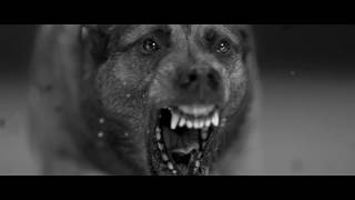 Thumbnail for Woodkid - Iron (Official Video) | WOODKID