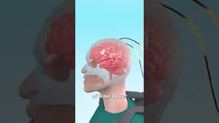 Thumbnail for Could Batteries Power Your Brain? 🤔 | Zack D. Films