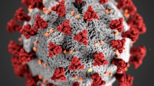 Thumbnail for What the Virus Means for Us
