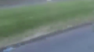 Thumbnail for Shitskin phone thief tries to run, gets 1shotted 