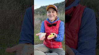 Thumbnail for Freeze Dryer Giveaway! Make non-perishable, lightweight pie for the trail! | thruhikers