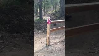 Thumbnail for Wolverine Walks By Biker, Carrying Goat Head | Kelly Willett