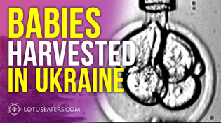 Thumbnail for Stem Cell Harvesting From Abortions