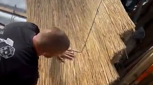 Thumbnail for when White guys do roofing