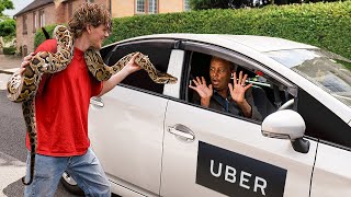 Thumbnail for I Tested ‘PET FRIENDLY’ Ubers With Dangerous Animals | Zac Alsop