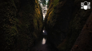Thumbnail for The Land of My Ancestors.