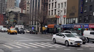 Thumbnail for Wiemerica Takes Root In NYC