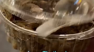 Thumbnail for Trumpman's Favorite Food