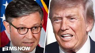 Thumbnail for 'People are sick and tired': Strategist says very red states showing 'a lot of momentum' for Dems | MS NOW