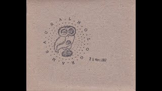 Thumbnail for Aural Holograms - Vol. I (2007) | Panangelium